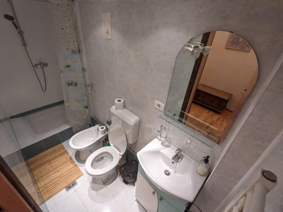 Boheme Central Apartment Тимишоара Экстерьер фото